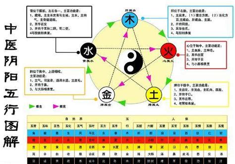 金生水原理|金生水（五行对应关系）